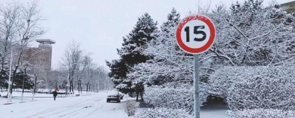 小学描写冬天的诗句古诗有哪些 描写冬天的诗句