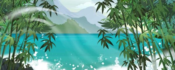 赞美竹子精神的诗句有哪些 关于赞美竹子精神的诗句