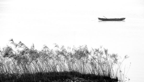 关关雎鸠在河之洲与后面两句有内容上的直接联系吗 关关雎鸠在河之洲与后面两句有内容上的直接联系嘛