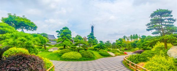 春天拟人句子仿写 春天拟人句子仿写大全