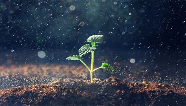 雨下起来了改为拟人句 雨下起来了改为拟人句是什么