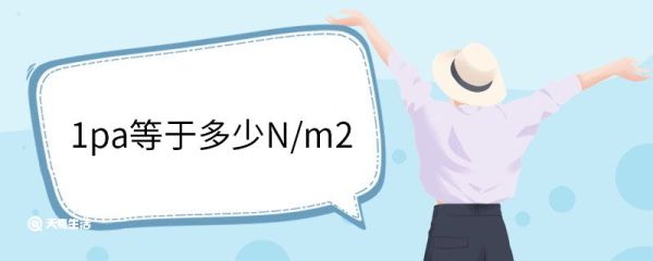 1pa等于多少N/m2 1pa是多少N/m2