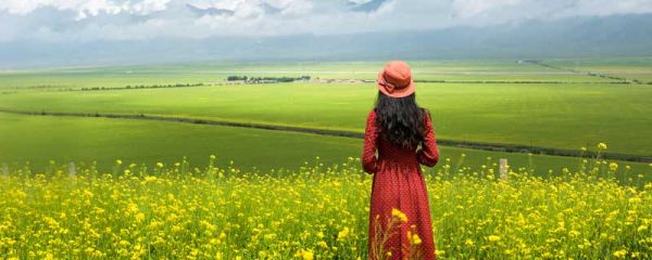 南风在感情上的意思 南风表达什么意思