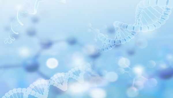 碳与水反应方程式 碳与水反应的方程式是什么