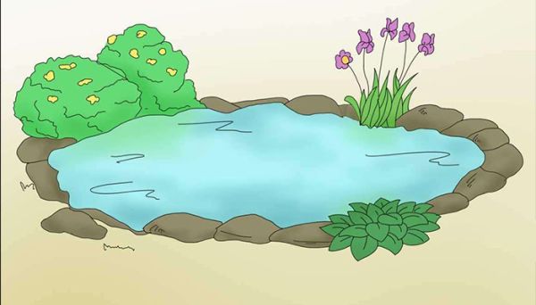 池子与河流池子的观点是什么    池子与河流中池子有怎样的观点