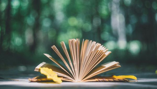 音的音节是什么 音的音节