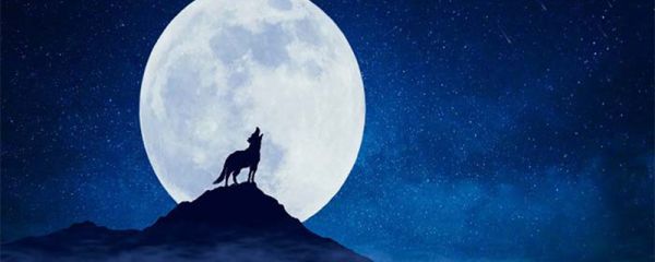 狼来了是伊索寓言里的寓言故事吗 狼来了是伊索寓言中的故事吗