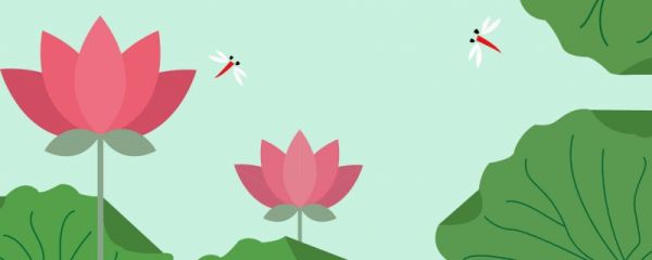 描写夏天荷塘的诗句 关于夏天荷塘的诗句