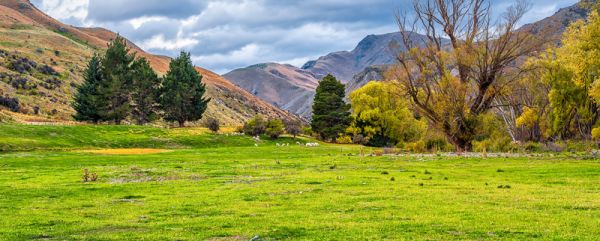 我国三大平原是什么 我国的三大平原是指什么