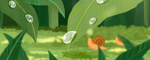 夜雨寄北翻译赏析及作者简介 夜雨寄北翻译赏析和作者简介