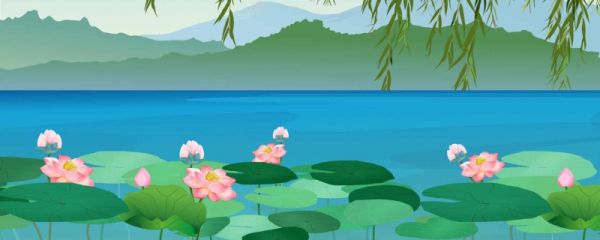 赞美荷花的诗句有哪些 赞美荷花的诗句