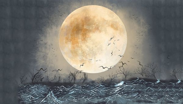 共饮长江水一句表达了作者的什么,共饮长江水一句表达了作者的什么感情