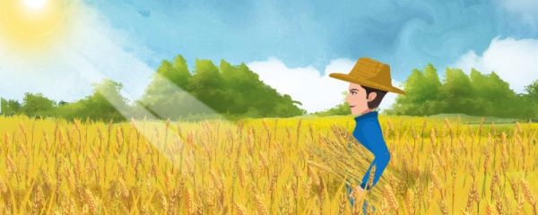 描写秋天的诗句有哪些 描写秋天的诗句