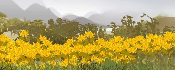 赞美菊花的诗句有哪些 赞美菊花的诗句