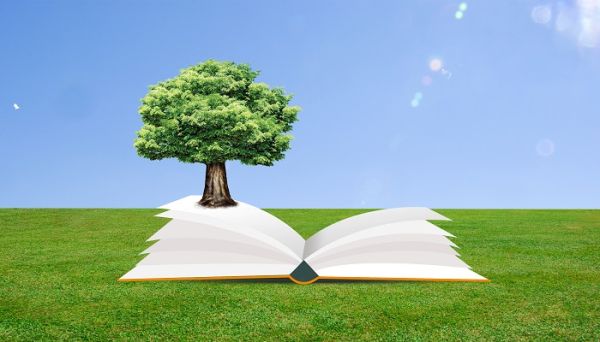 这里有各种各样的绿色改为拟人句  这里有各种各样的绿色变成拟人句