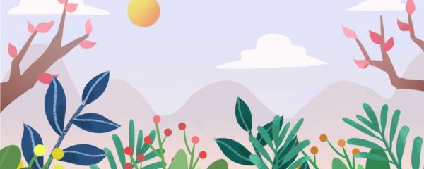 描写风的诗句 关于描写风的诗句
