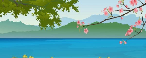 赞美梅花的诗句有哪些 赞美梅花的诗句