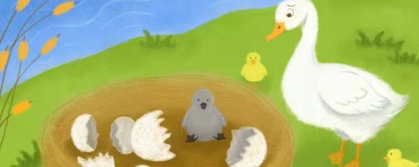 形容鸭子在水里的情景 水里的鸭子怎么形容