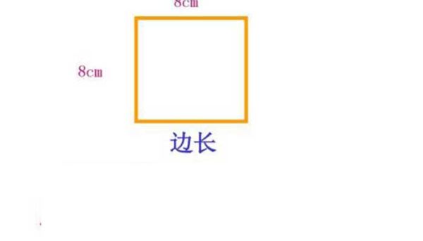 正方形的底面积公式 正方形的底面积公式是啥