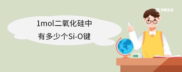 1mol二氧化硅中有多少个Si-O键 什么是Si-O键
