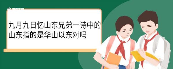 九月九日忆山东兄弟一诗中的山东指的是华山以东对吗