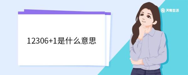 12306+1是什么意思 12306是国家的还是个人的