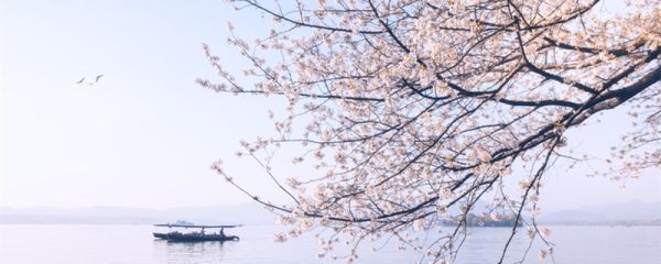 两个黄鹂鸣翠柳一行白鹭上青天描写的是什么季节 两个黄鹂鸣翠柳一行白鹭上青天描写的应该是什么季节