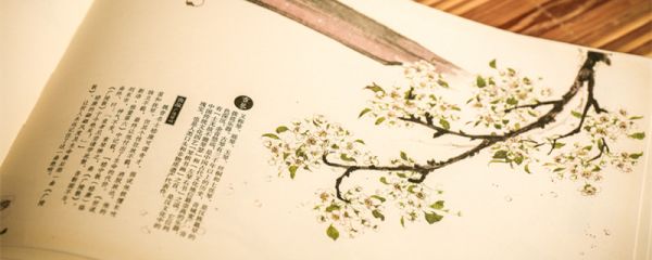 君惠徼福于敝邑之社稷辱收寡君寡君之愿也翻译 君惠徼福于敝邑之社稷辱收寡君寡君之愿也如何翻译