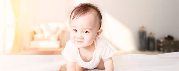 弄璋之喜 麟趾呈祥是什么意思 麟趾呈祥是什么意思