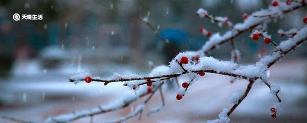 世说新语咏雪原文  世说新语咏雪翻译