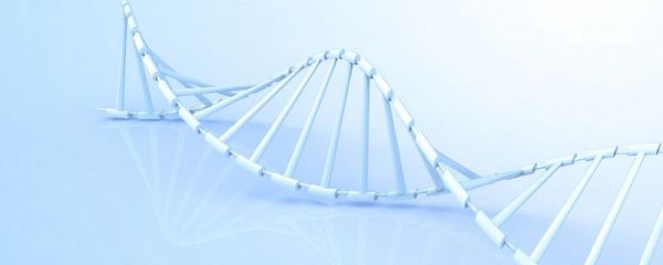 维持蛋白质四级结构的主要化学键是 维持蛋白质四级结构的主要化学键是什么