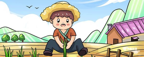 拔苗助长的故事主要讲了什么 拔苗助长的故事讲了什么