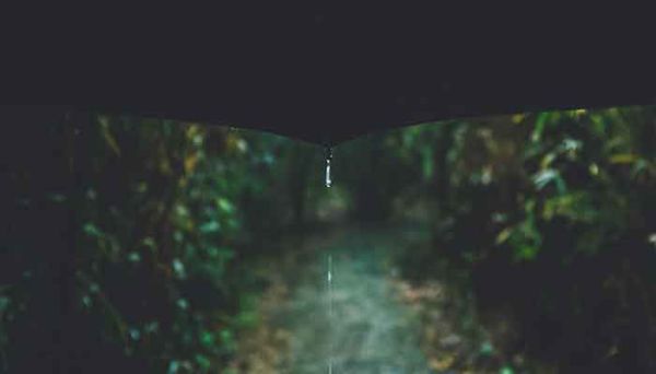 浪淘沙李煜赏析 李煜《浪淘沙令》赏析