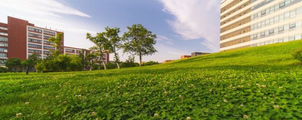 哪些专业就业前景好 经济学专业简介