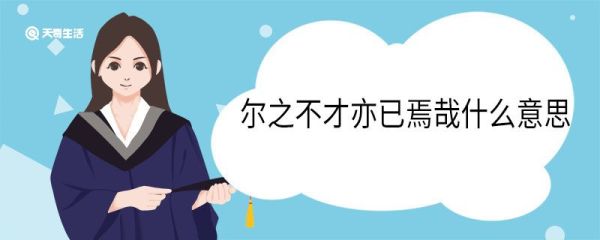 尔之不才亦已焉哉什么意思 尔之不才亦已焉哉的意思