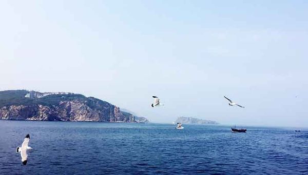 海滨小城主要描写了哪几个场景