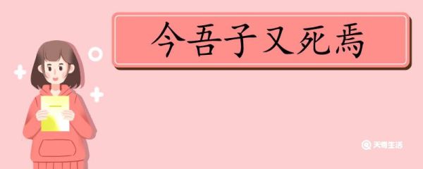今吾子又死焉的翻译 今吾子又死焉翻译