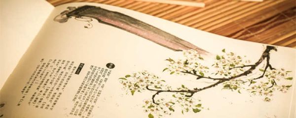 逍遥游翻译一句一译 逍遥游翻译一句一译学生版