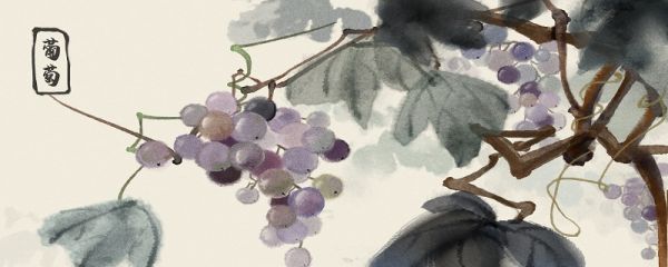 葡萄挂满枝头的诗句 葡萄挂满枝头的诗句有哪些
