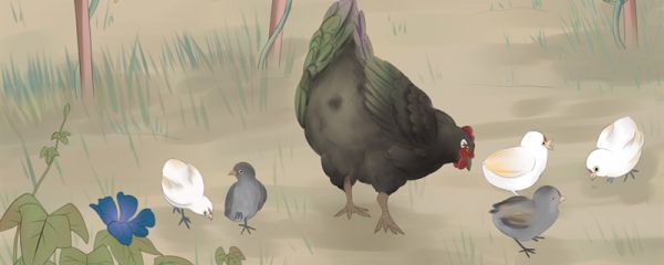 牝鸡司晨惟家之索是什么意思 牝鸡司晨惟家之索是什么意思呢
