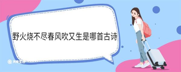 野火烧不尽春风吹又生是哪首古诗 野火烧不尽春风吹又生出自哪首古诗