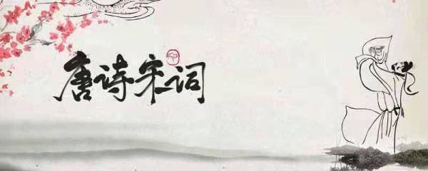 后世往往称宋人诗的特点为 后世往往称宋人诗的特点是什么