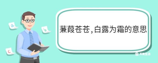 蒹葭苍苍白露为霜的意思 蒹葭苍苍白露为霜意思