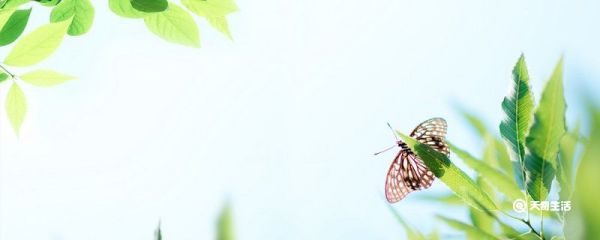 不负春光不负卿是什么意思 不负春光不负卿的意思