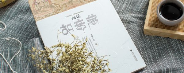 东床坦腹文言文翻译 东床坦腹文言文翻译注释