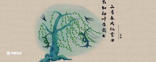 咏柳的诗意 咏柳的诗意是什么意思