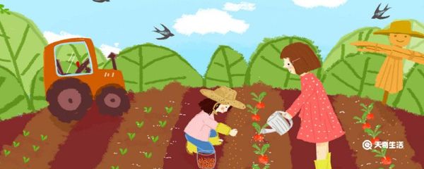 写菜园的比喻句 写菜园的比喻句有哪些