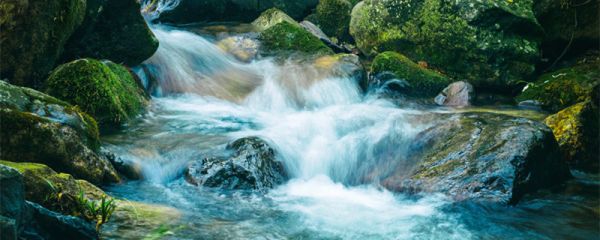 流水不腐的哲学道理是 流水不腐户枢不蠹的哲学道理