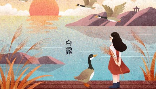 蒹葭运用了什么写作手法 蒹葭运用的写作手法是什么