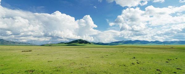 牧场之国作者写作背景 牧场之国主要内容